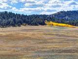 236 Cheyenne Trail - Photo 12