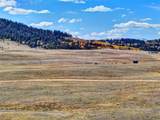 236 Cheyenne Trail - Photo 14