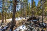 313 Porcupine Road - Photo 29