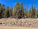 313 Porcupine Road - Photo 4