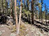 313 Porcupine Road - Photo 48