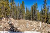 313 Porcupine Road - Photo 8