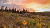 Lot AR Spring Creek Ranch Rd - Photo 1