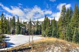 79 Cucumber Creek Road - Photo 18