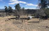 12 Loon Lane - Photo 6