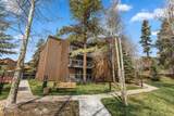 393 Wild Irishman Road - Photo 36