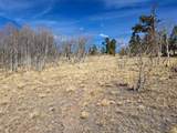 593 Pinto Trail - Photo 11