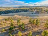 593 Pinto Trail - Photo 6
