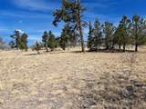593 Pinto Trail - Photo 9