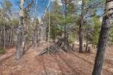 0 Bluestem - Photo 6
