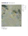 189 Goldenburg Canyon Road - Photo 36