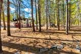 265 Placer Drive - Photo 12