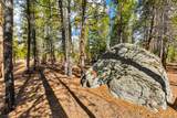 265 Placer Drive - Photo 7