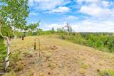 65 Riata Run - Photo 13