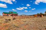 1528 Silverheels Road - Photo 32