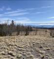 325 Shoshone Drive - Photo 6