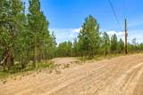 816 Little Baldy Circle - Photo 7