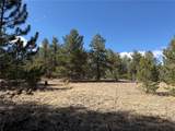 239 Shenandoah Path - Photo 10