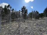 239 Shenandoah Path - Photo 13