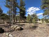 239 Shenandoah Path - Photo 3