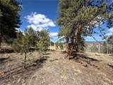 239 Shenandoah Path - Photo 4