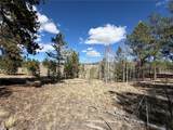 239 Shenandoah Path - Photo 7