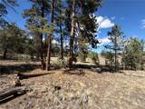 239 Shenandoah Path - Photo 8