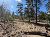 239 Shenandoah Path - Photo 9