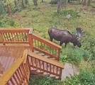 384 Blue Ridge Road - Photo 39