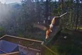 384 Blue Ridge Road - Photo 46