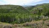 24425 Lone Tooth Trail - Photo 1
