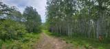 24425 Lone Tooth Trail - Photo 10