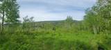 24425 Lone Tooth Trail - Photo 11