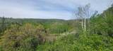 24425 Lone Tooth Trail - Photo 12