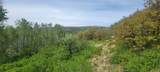 24425 Lone Tooth Trail - Photo 16