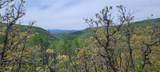 24425 Lone Tooth Trail - Photo 17