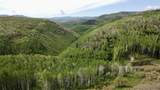 24425 Lone Tooth Trail - Photo 19