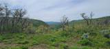 24425 Lone Tooth Trail - Photo 2
