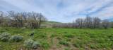 24425 Lone Tooth Trail - Photo 3