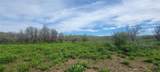 24425 Lone Tooth Trail - Photo 4