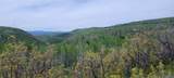 24425 Lone Tooth Trail - Photo 5