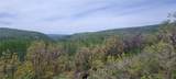24425 Lone Tooth Trail - Photo 6