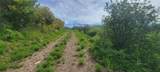 24425 Lone Tooth Trail - Photo 8