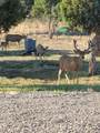 76 County Road 60B - Photo 44