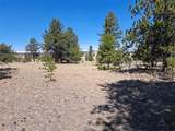 235 Maricopa Trail - Photo 10