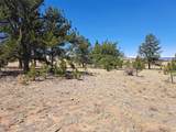 235 Maricopa Trail - Photo 13