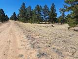 235 Maricopa Trail - Photo 14