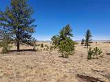 235 Maricopa Trail - Photo 17
