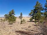 235 Maricopa Trail - Photo 18