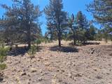 235 Maricopa Trail - Photo 2